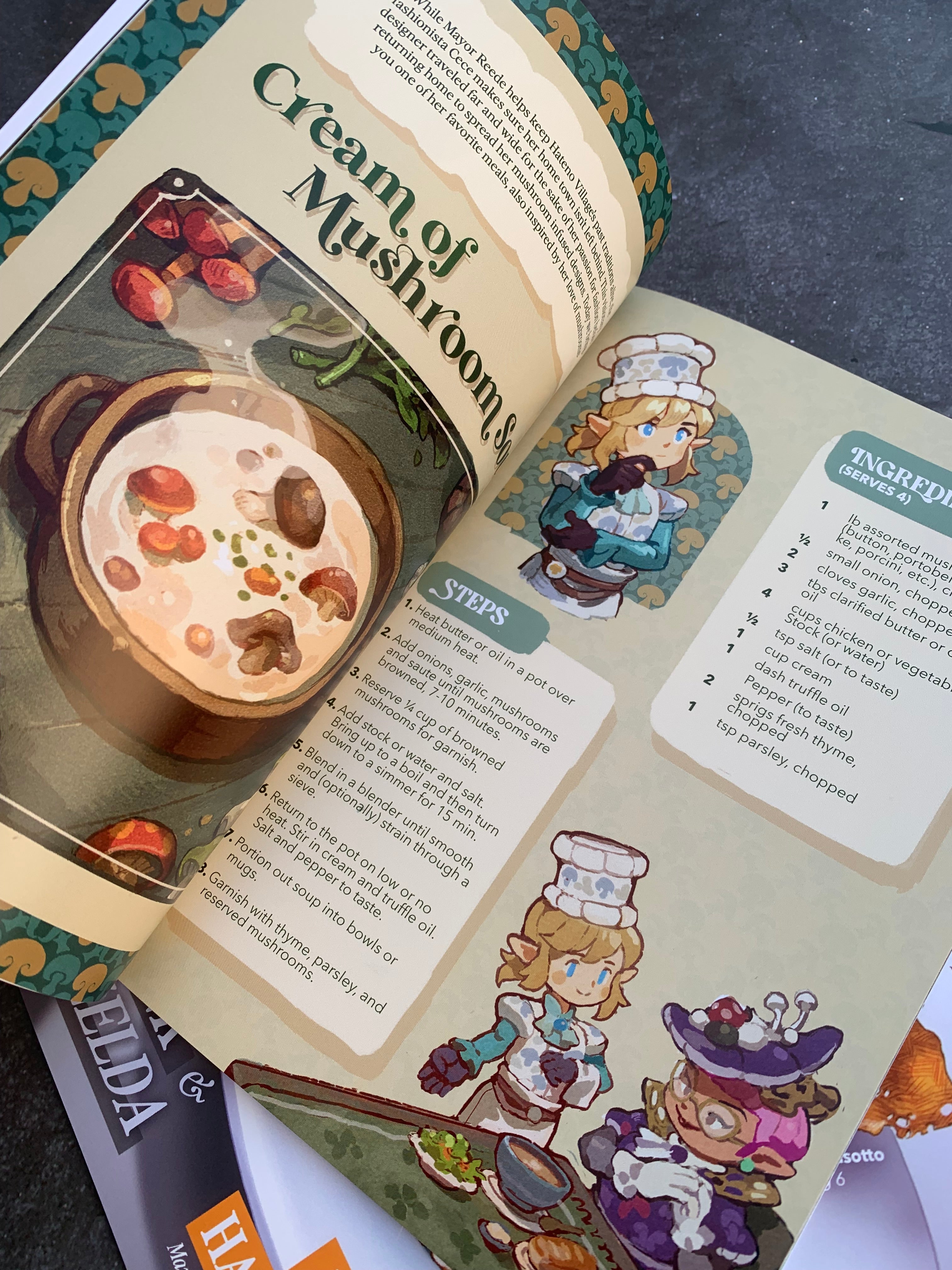 HYRULE: Taste of the Kingdom Cooking Fanzine